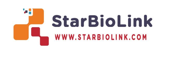 Website Logo